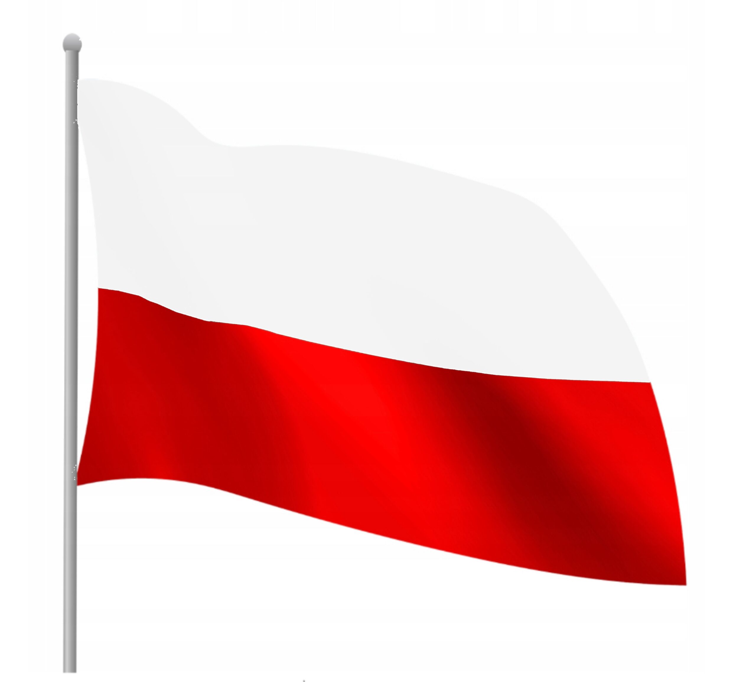 Flaga Polski, wiz Allegro