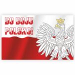 Flaga na Euro_WZ2